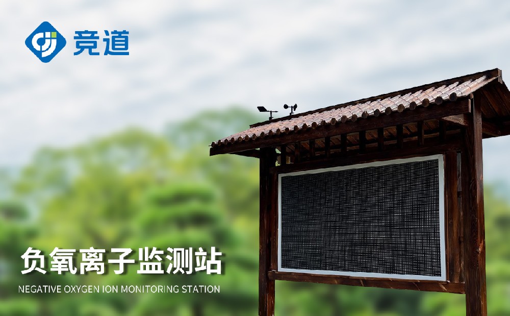 负离子监测系统