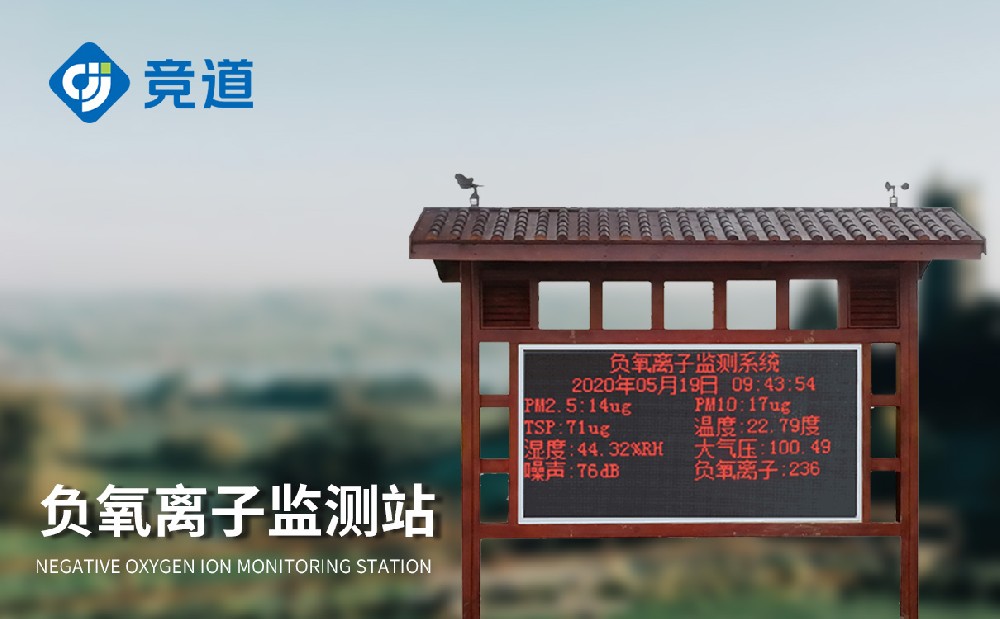 负氧离子监测仪